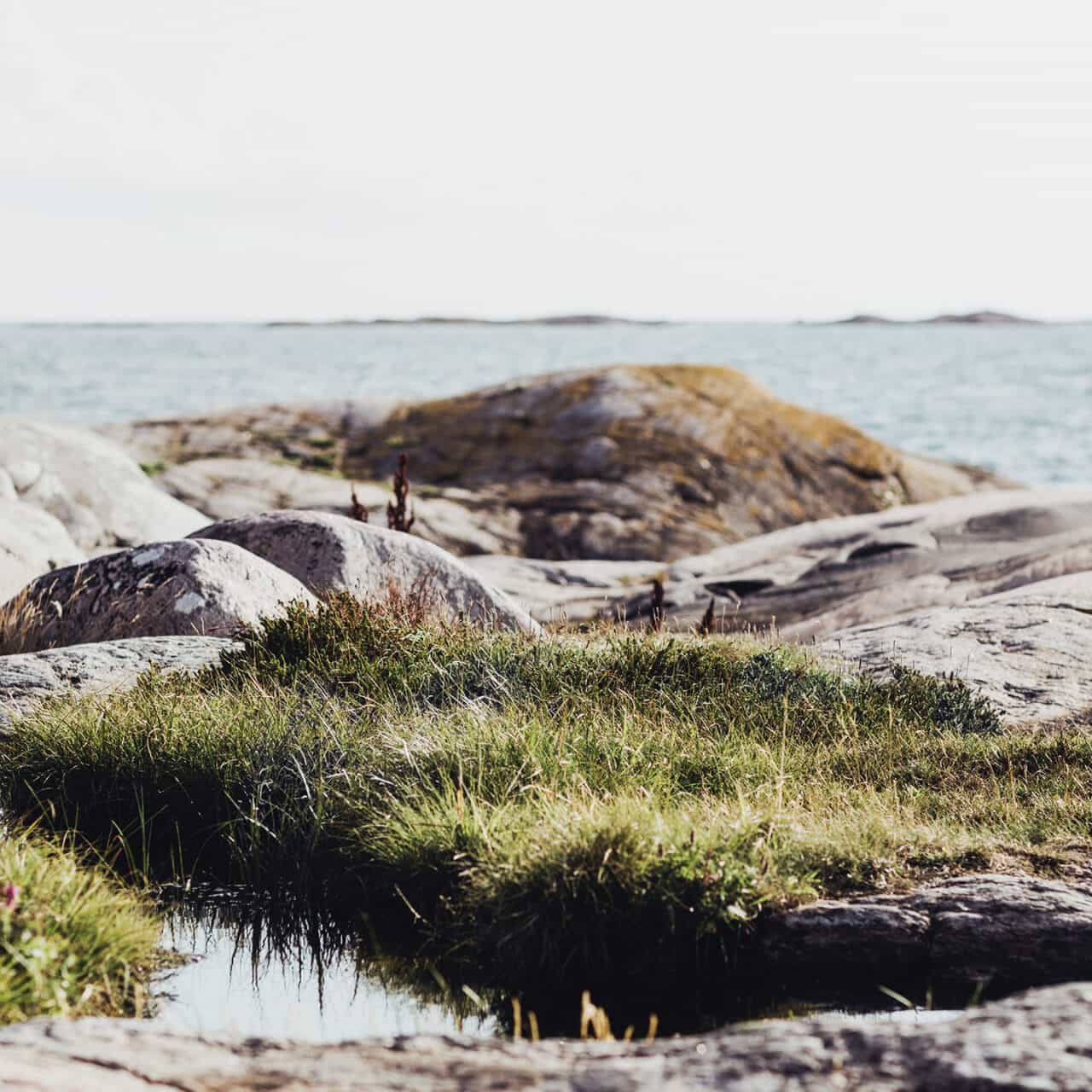 Pojke, klippor, skärgård, hav, havet, havsklippor, sommar, bad,