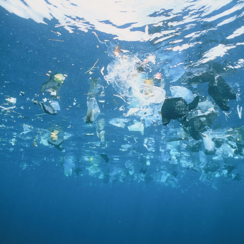 Rapporten Rätt plast på rätt plats går på djupet om plastens miljöpåverkan, och hur vi ska ta oss ...