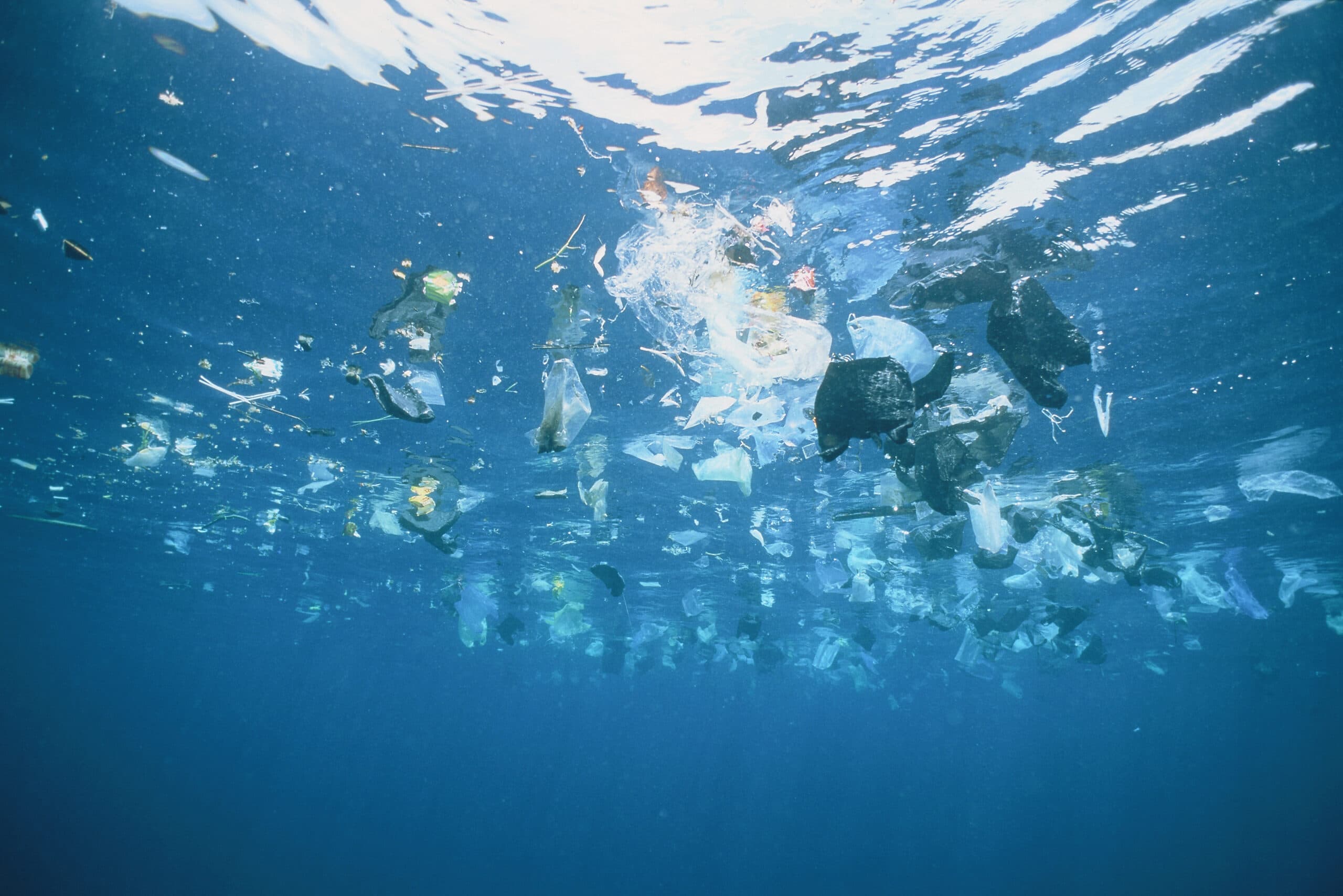 Rapporten Rätt plast på rätt plats går på djupet om plastens miljöpåverkan, och hur vi ska ta oss ...