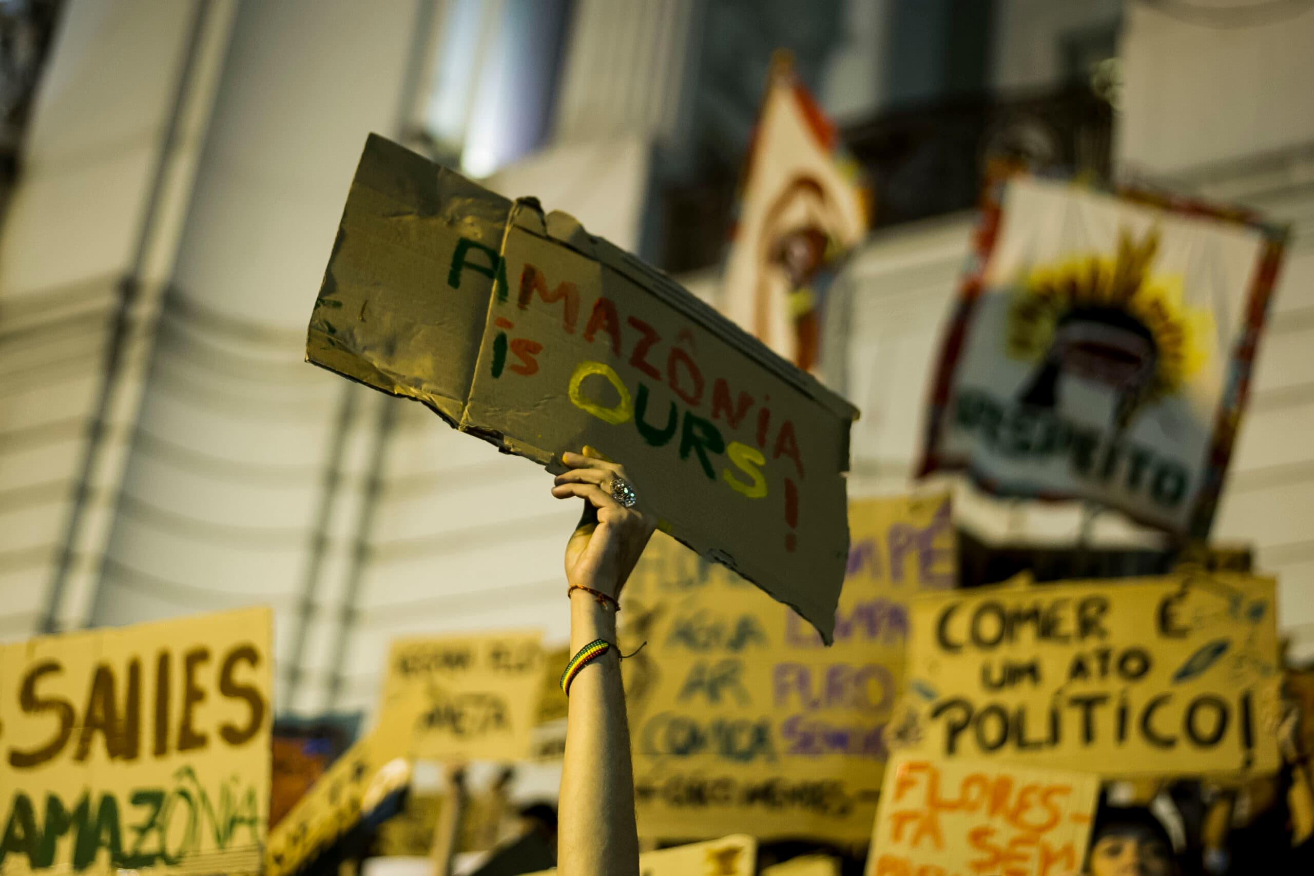 Rio de Janeiro. Demonstranter samlas för att protestera mot avskogningen av Amazonas, 3 augusti ...