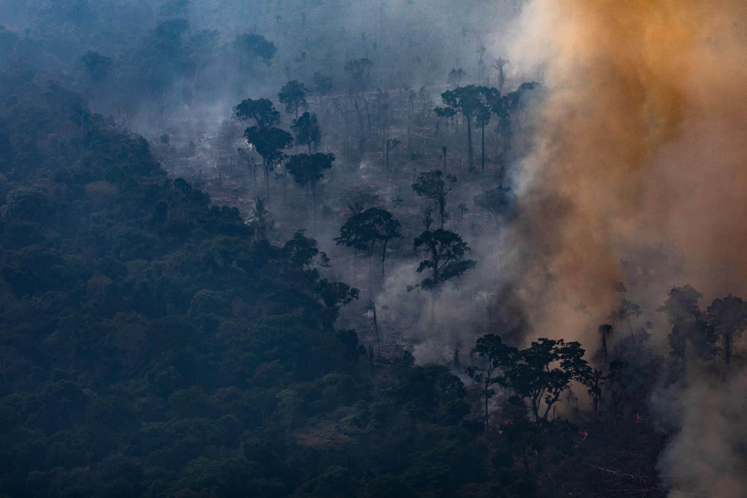 Amazonas bränder