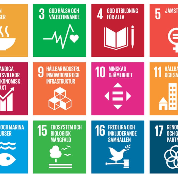 SDG, Agenda 2030, Global, mål, hållbar, utveckling, utvecklingsmål, FN, fattigdom, hunger