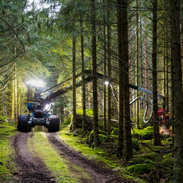 Skogsbruk och klimatet. Skogsmaskin kapar skog.