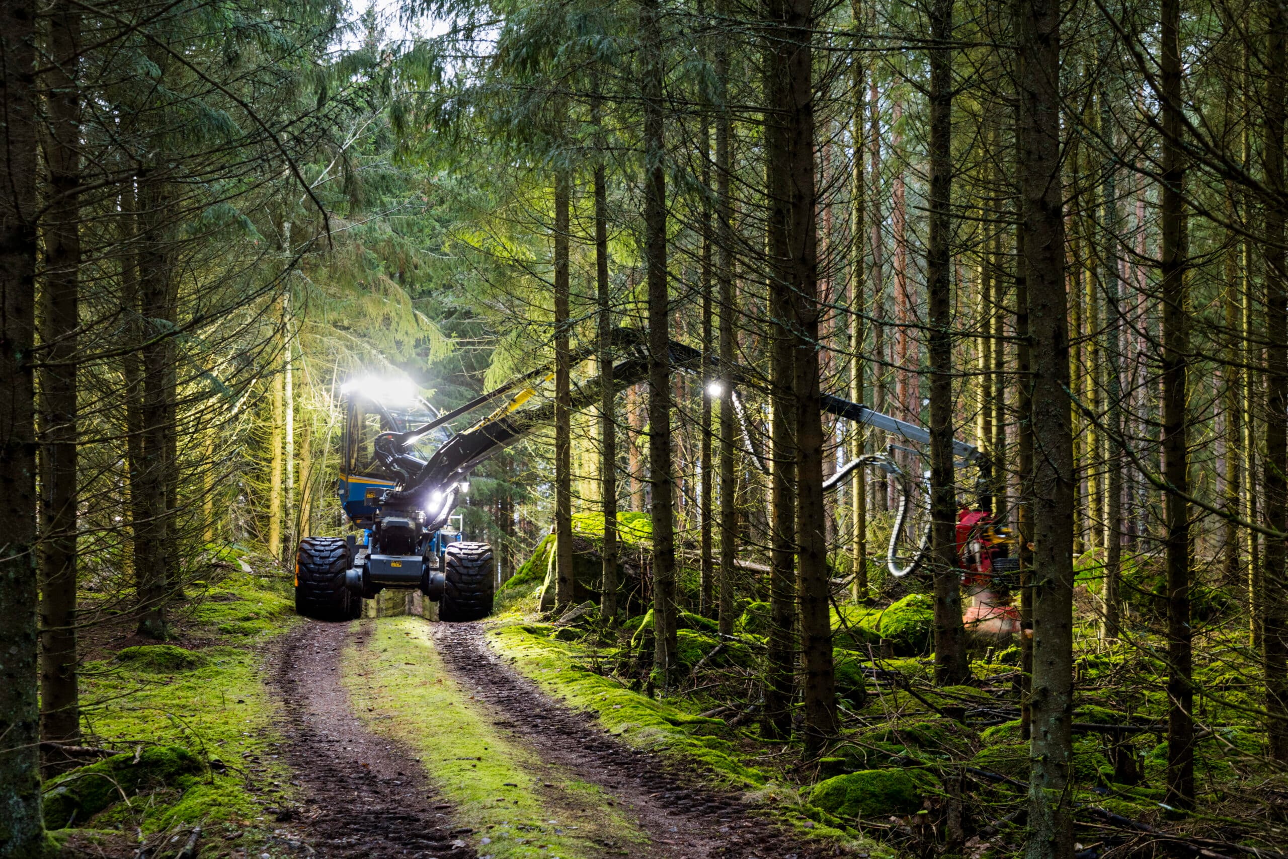 Skogsbruk och klimatet. Skogsmaskin kapar skog.