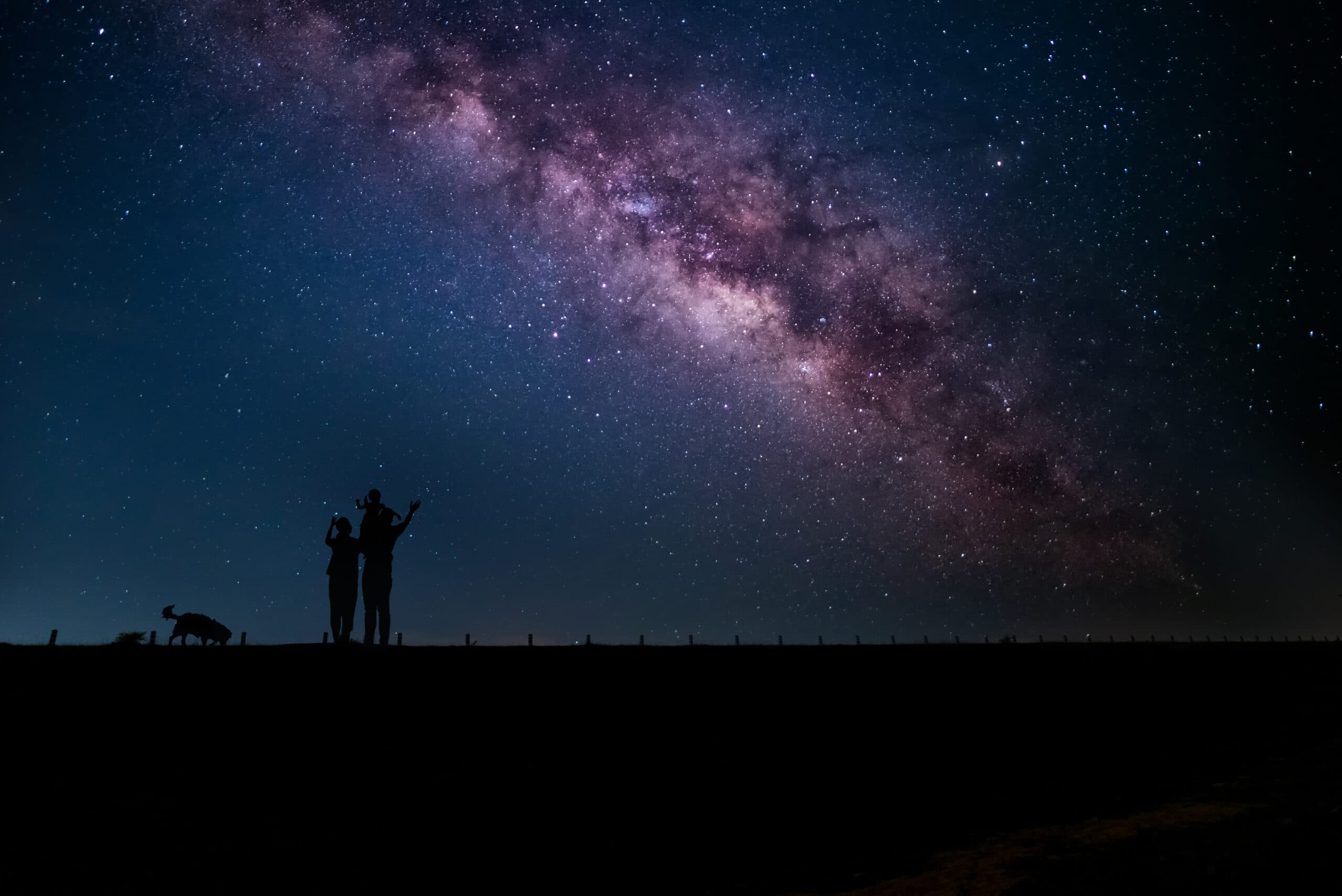 Mamma, pappa, barn, husdjur, hund, mörk, natt, stjärnor, himmel, familj, rymden, astronomi