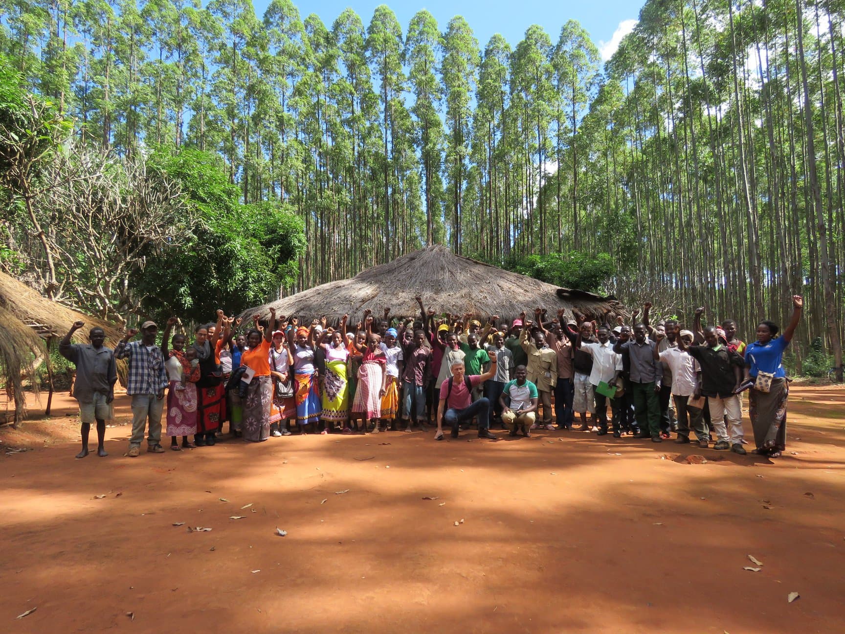 Mozambique, WRM, Samarbetsorganisation, Globala, Regnskog, Besök, World Rainforest Movement