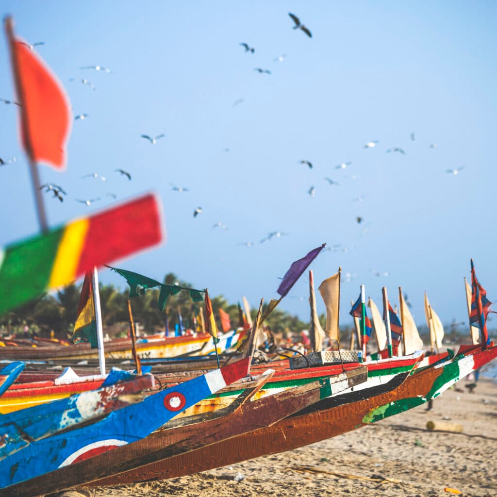 Afrika, Senegal, Båtar, Fiske, Fiskare, Småskaligt, Traditionellt, Sandstrand, Fåglar, Gambia