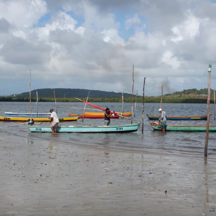 Terr mar, samarbetsorganisation, Brasilien, strand, hav, fiske, by