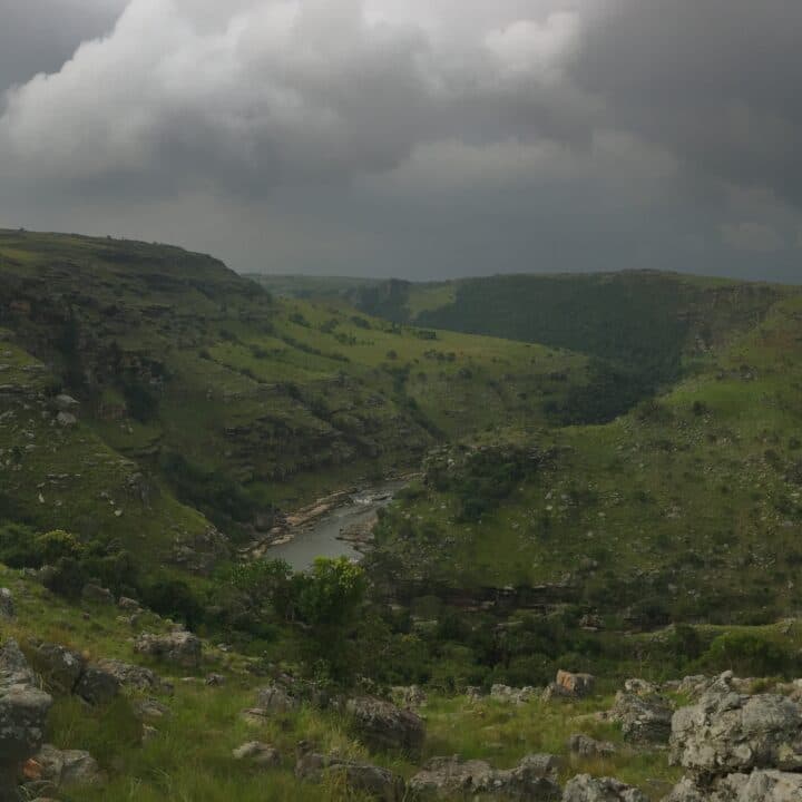 Pondoland, Sydafrika, Skog, Globala, Reportage