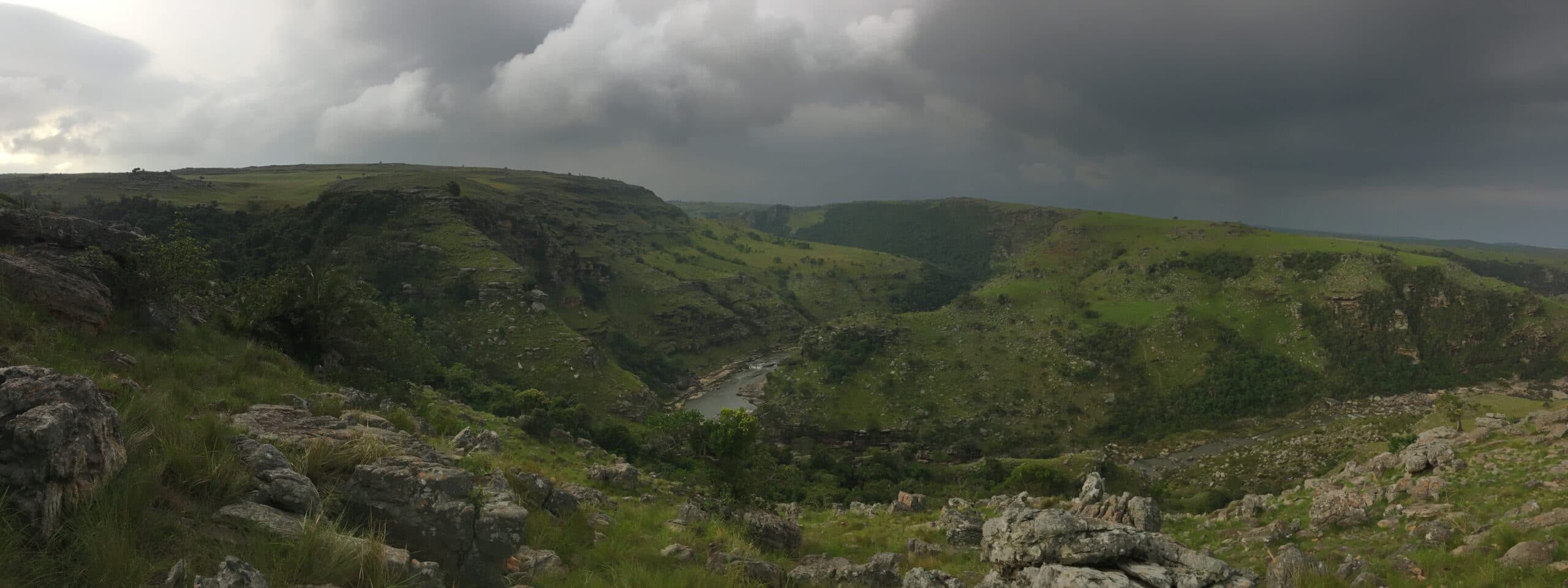 Pondoland, Sydafrika, Skog, Globala, Reportage