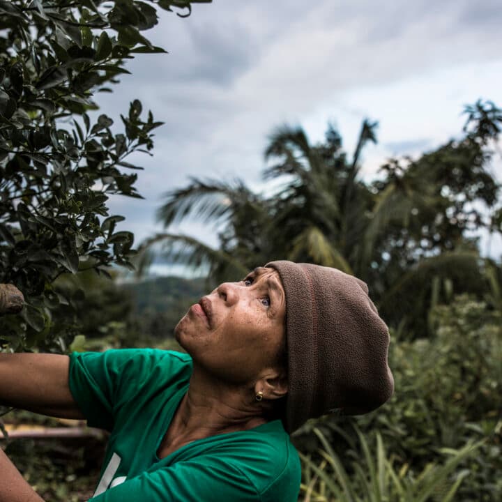 Filippinerna, Negros, 2020, miljöförsvarare, corona, Duterte, IBON, PDG, hotad, mordförsök, ...