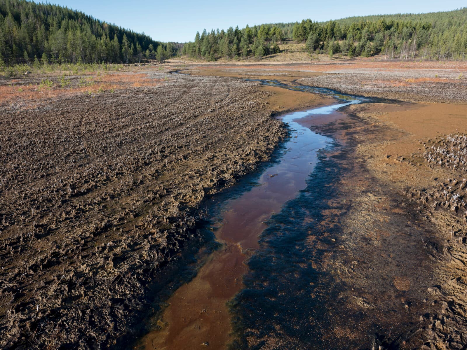 skog, Natur, Miljöförstöring, Förorenad, Mark, Gruvor, Gruvindustri, Gruvindustrin, Mineralutvinning