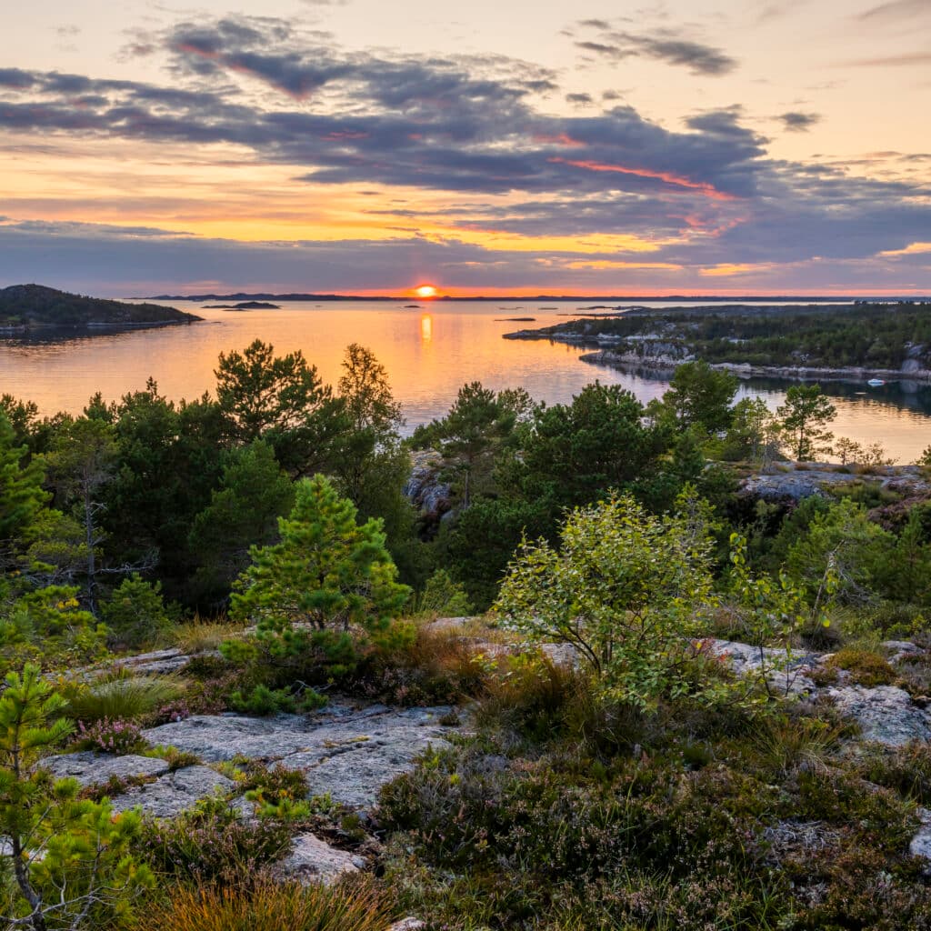 solnedgång,vatten,skärgård,vatten,klippor