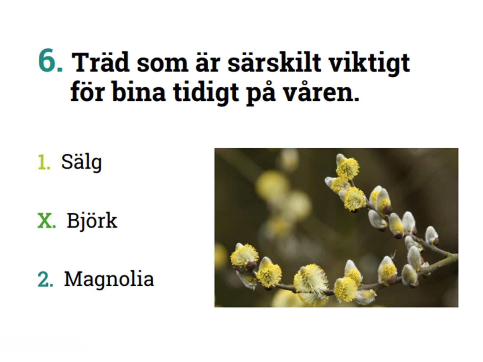 naturfalken, tipsrunda, arter