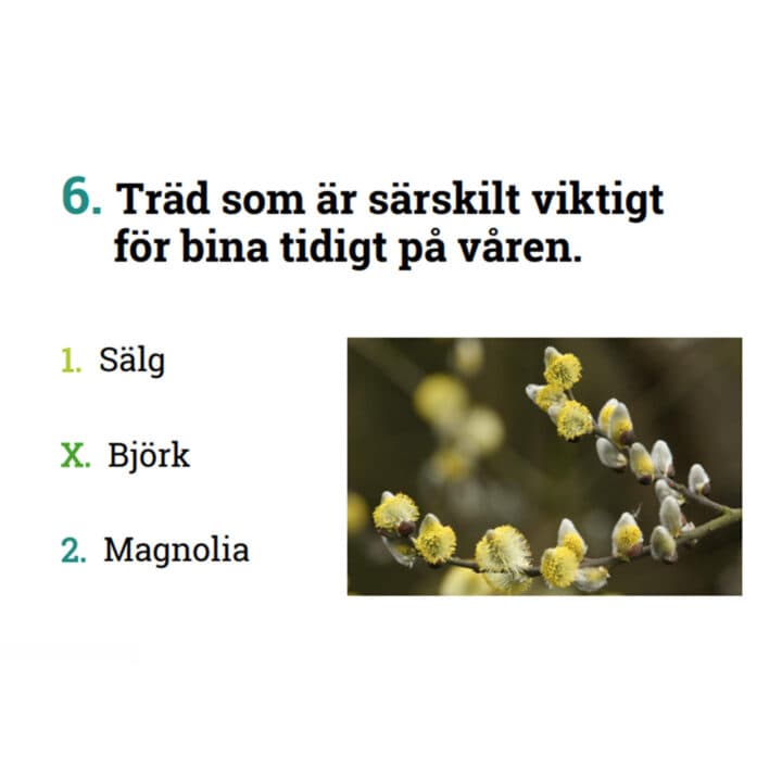 naturfalken, tipsrunda, arter