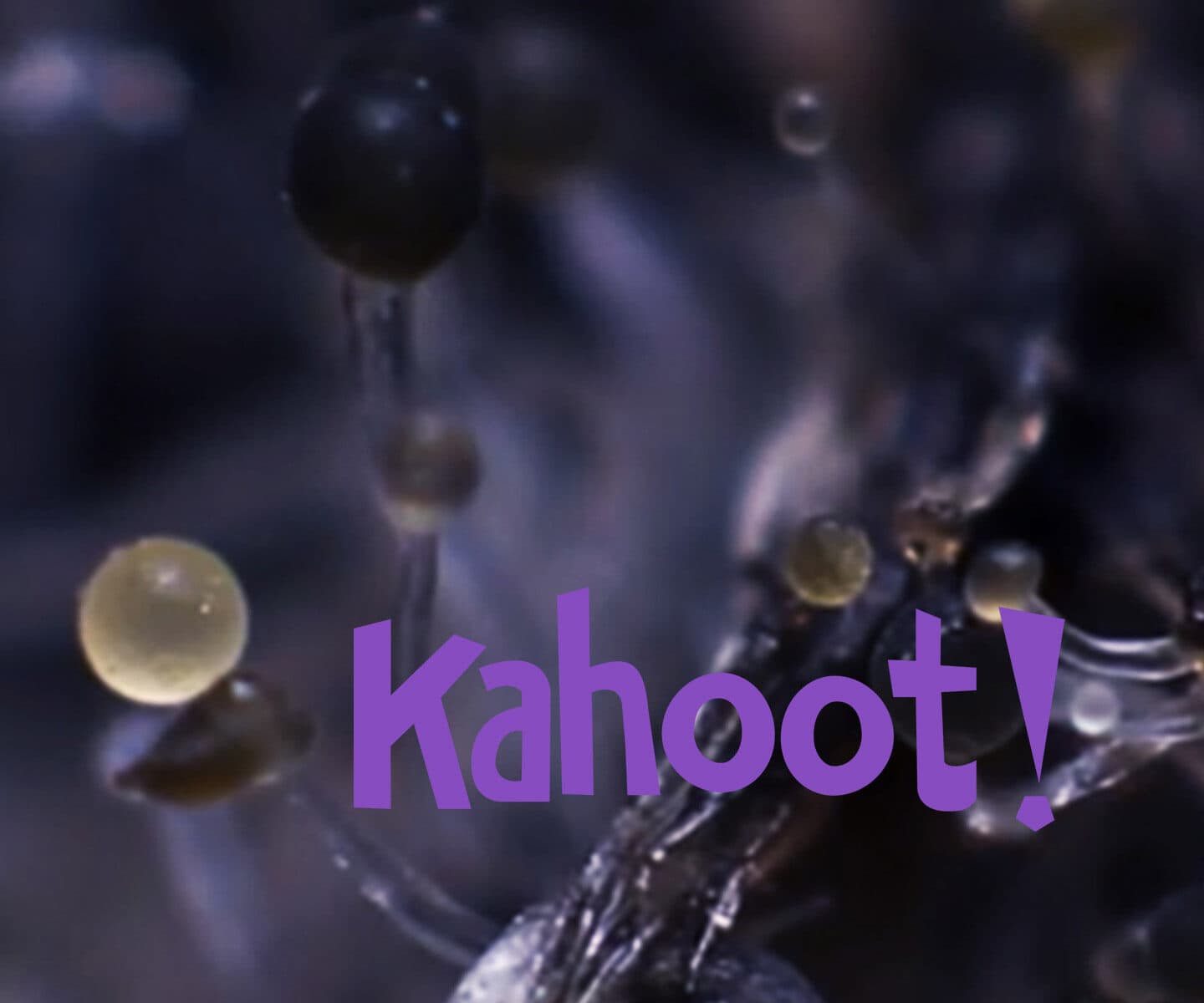 kahoot, jord, quiz