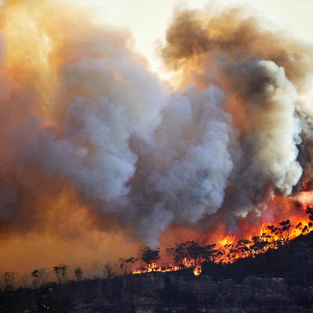 Skogsbrand i Australien.