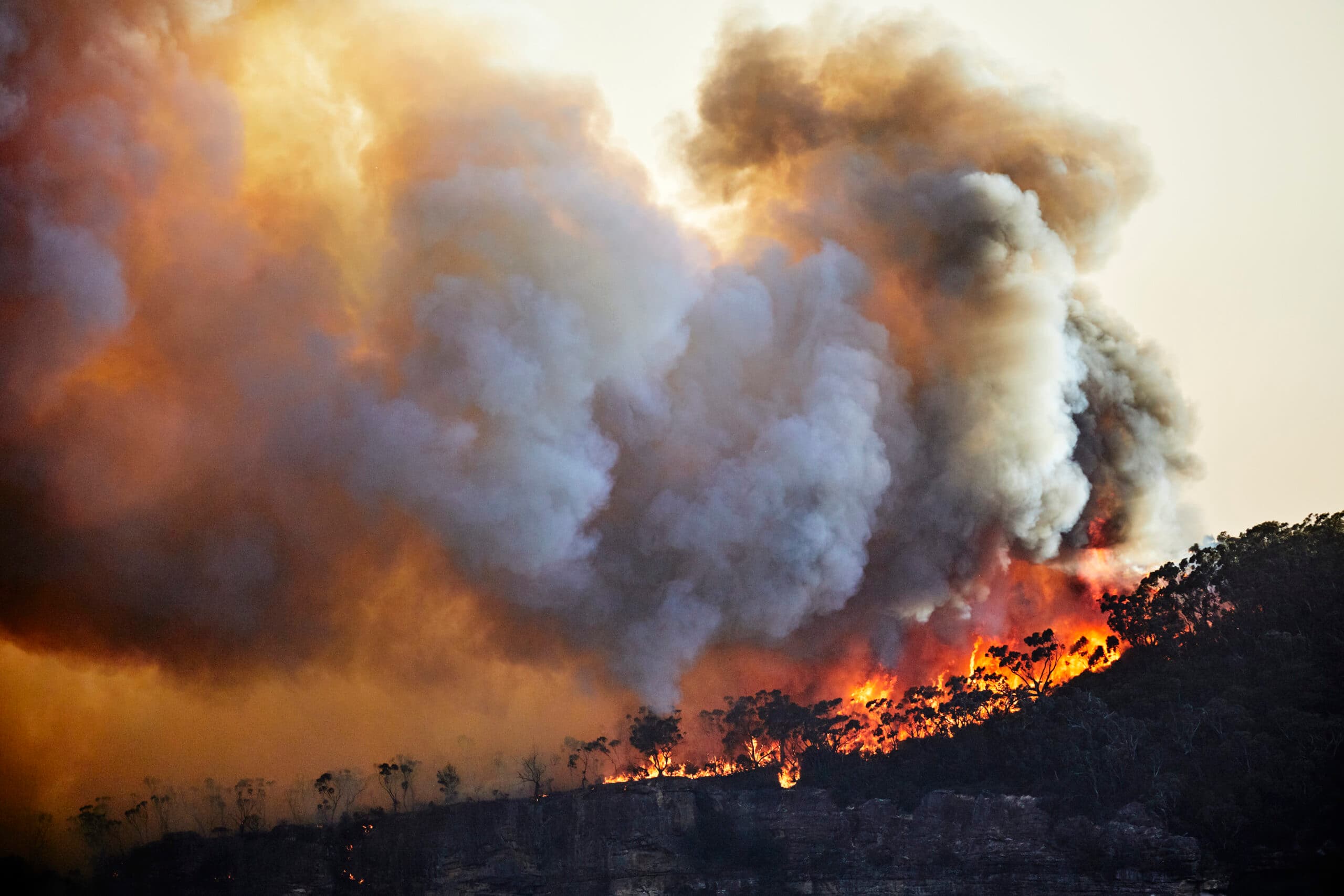 Skogsbrand i Australien.