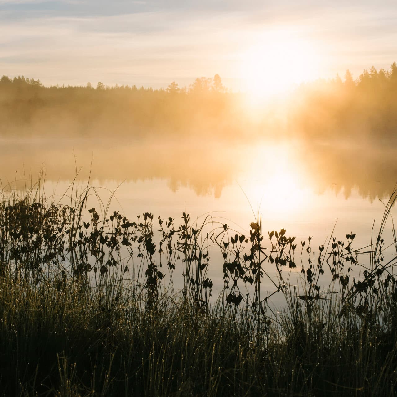 Soluppgång över vatten.