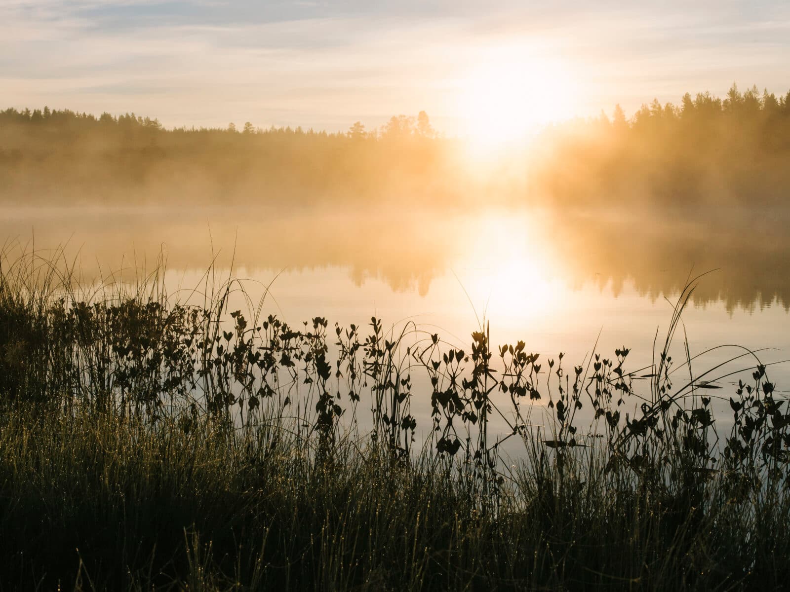 Soluppgång över vatten.