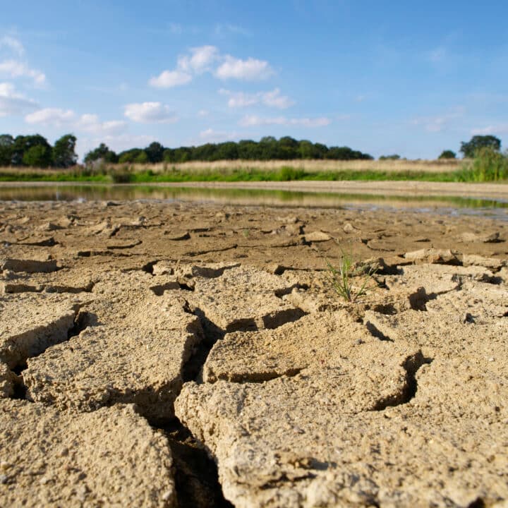 Torka, klimatförändringar, värme, sommar, miljö.