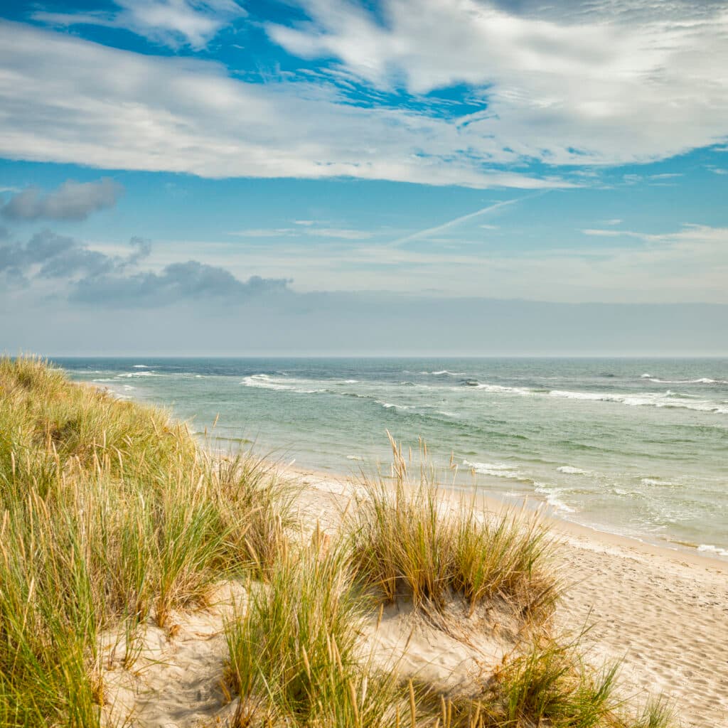 sandhammaren, strand, grästuva, sand, badstrand, strandskydd, grästuvor, bad, sommar, österlen, skåne,