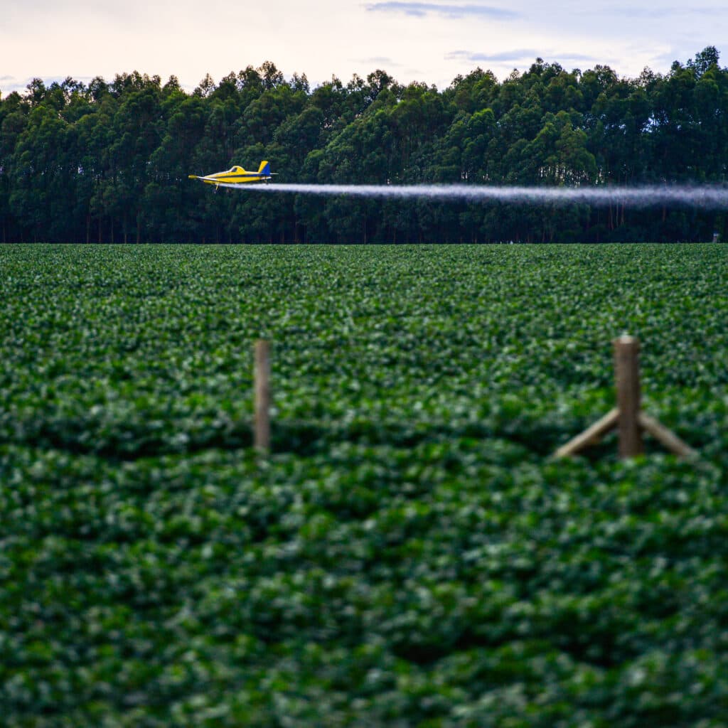 Flygplan, Soja, Brasilien, Bekämpningsmedel, Mato Grosso, Plantering, Odling, Jordbruk