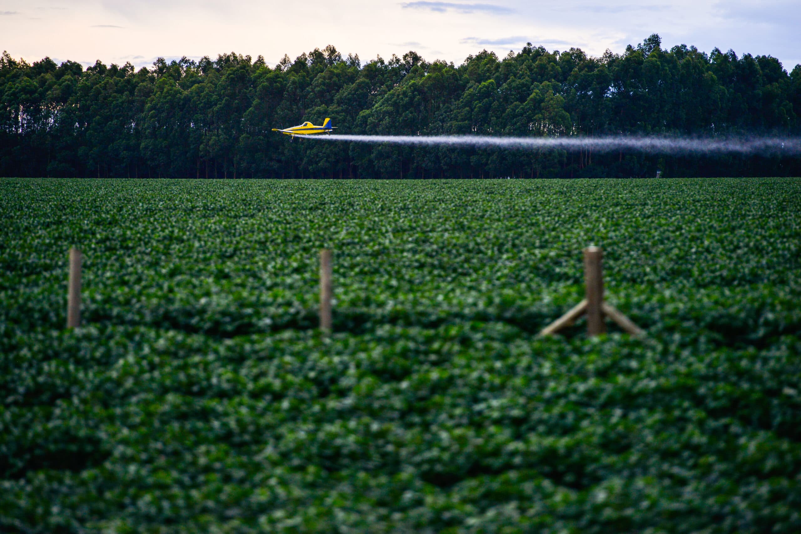 Flygplan, Soja, Brasilien, Bekämpningsmedel, Mato Grosso, Plantering, Odling, Jordbruk