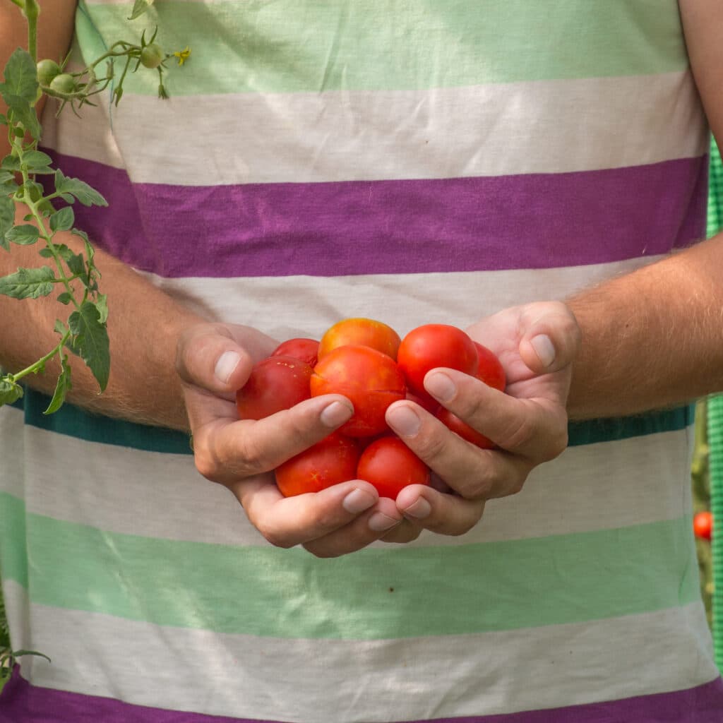 Vad du väljer att äta är avgörande för hur stor klimatpåverkan din mat har. Att välja vegetabilier är det enklaste och viktigaste du kan göra för att äta mer klimatvänlig mat.