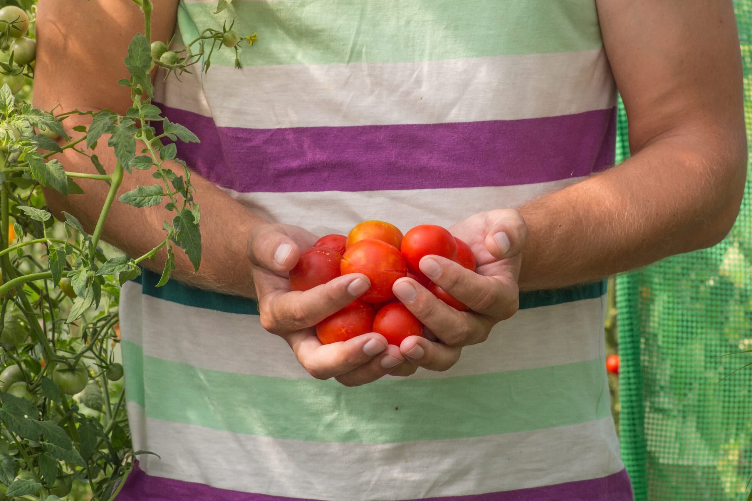 Vad du väljer att äta är avgörande för hur stor klimatpåverkan din mat har. Att välja vegetabilier är det enklaste och viktigaste du kan göra för att äta mer klimatvänlig mat.