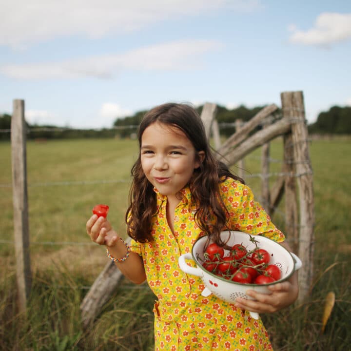 Tjej, tomater, landskap, gräs, staket, träd, natur, ekologisk, röd, himmel, moln, blå, mat