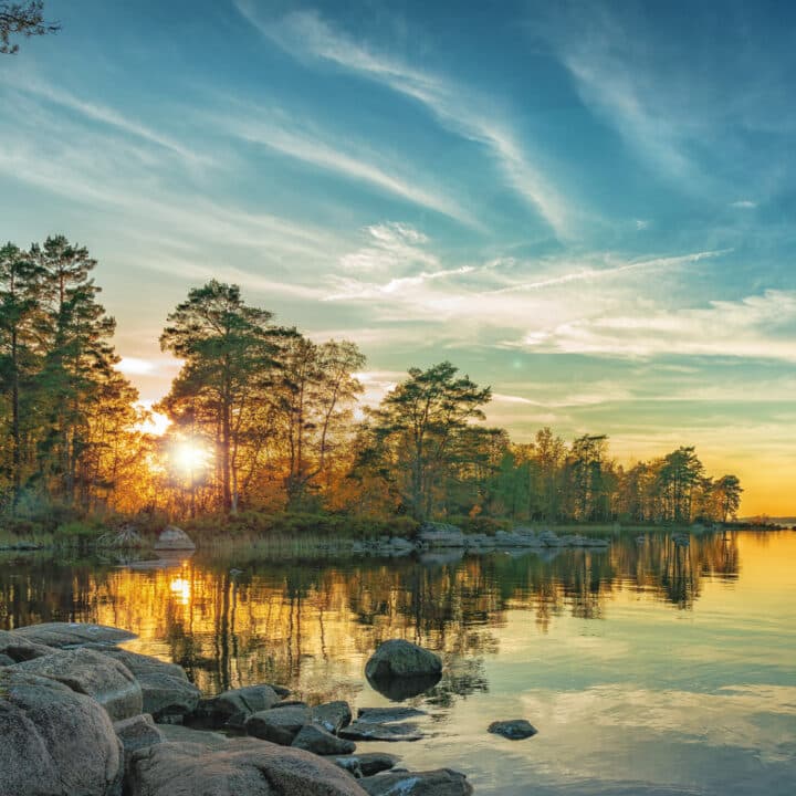 träd, kväll, vår, naturlig, vy, vacker, moln, bakgrund, scen, solsken, lugn, ljus, grön, färg, ...