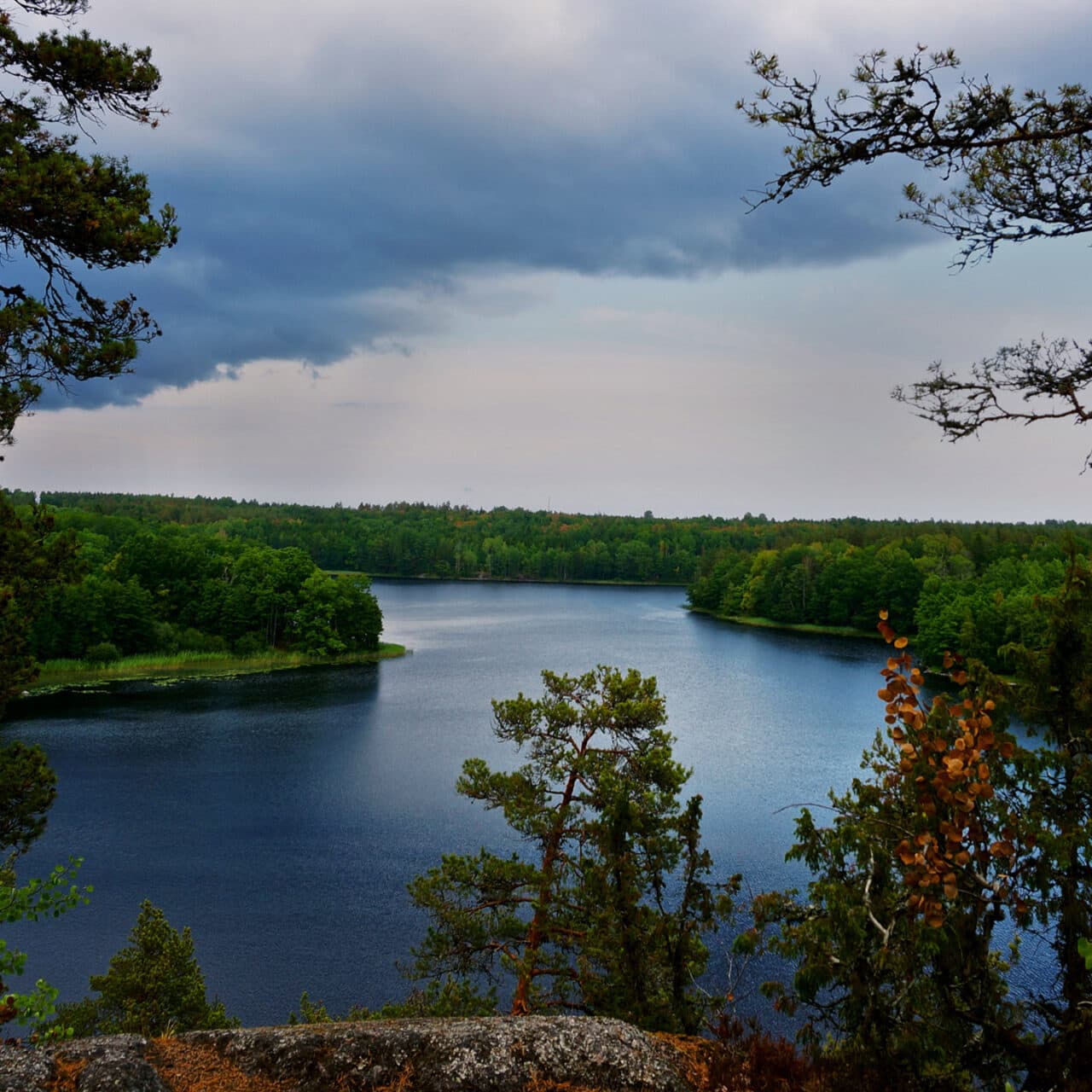 utsikt, ostkustleden, småland, skog, sjö