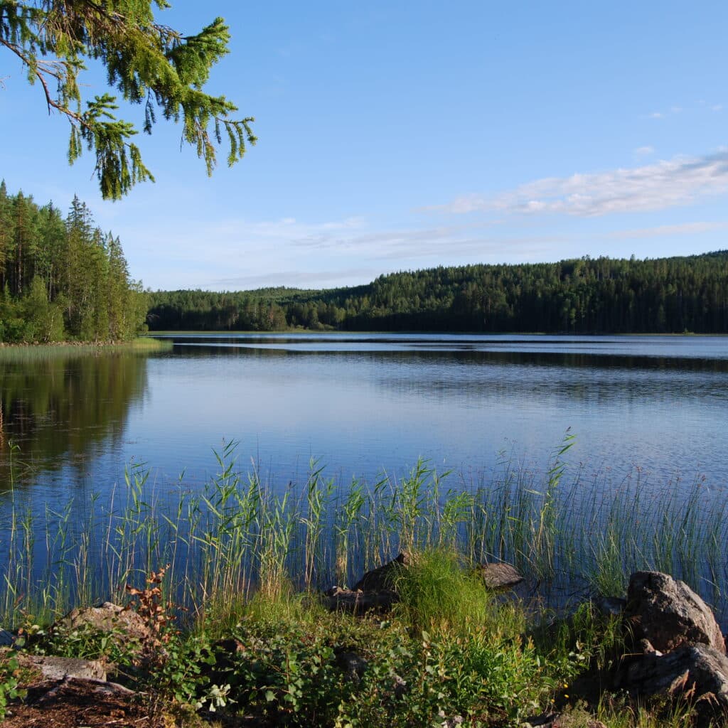 Sjö, Sjöar, Vatten, Skog, Grönska, Natur, Blå, Blå himmel