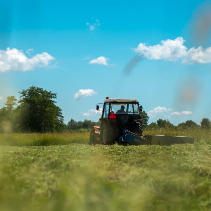 grön, fält, traktor, himmel, blå, moln, träd.