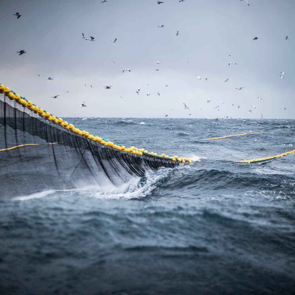 trål,hav,fiske,bottentrålning