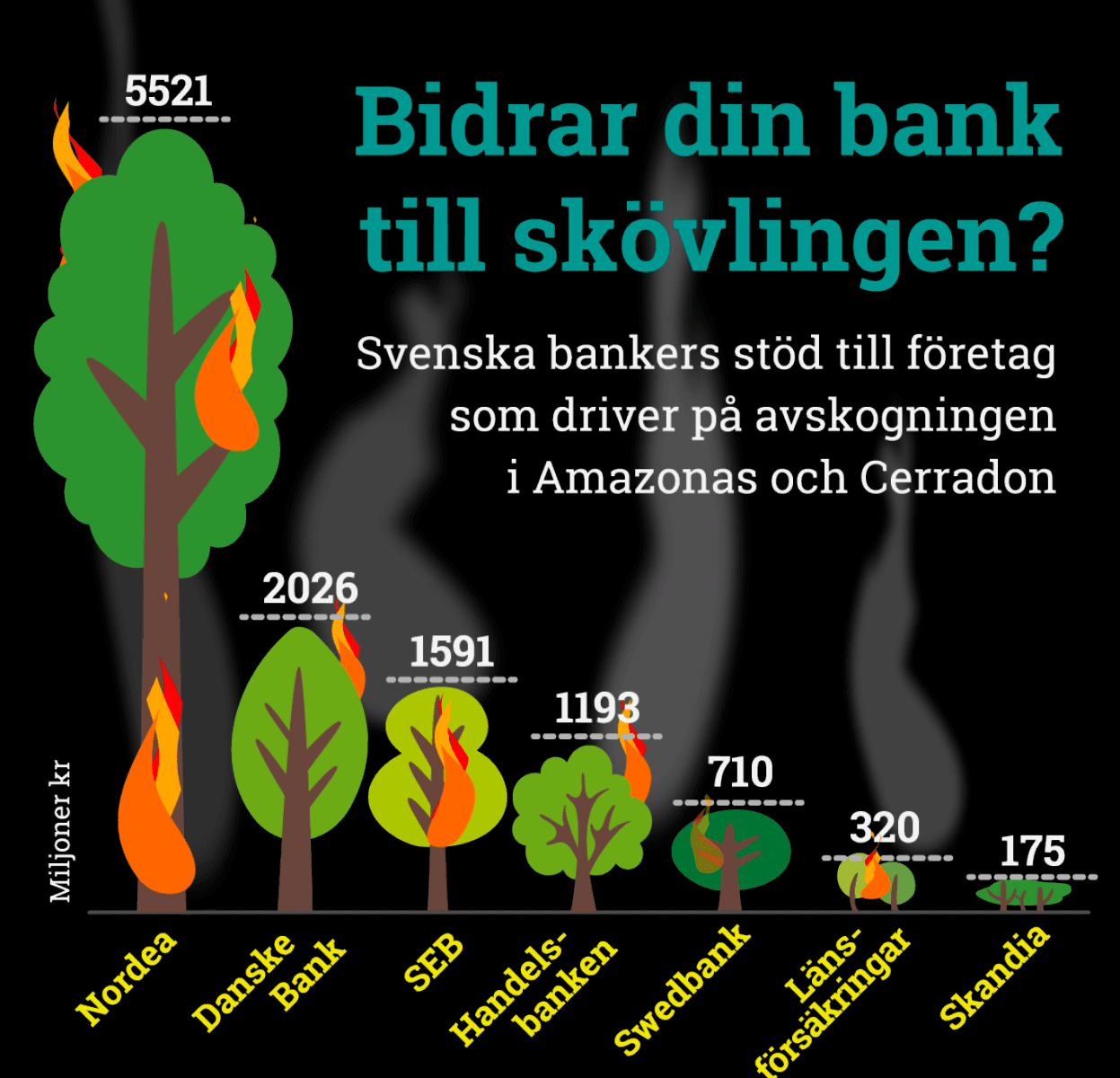 Amazonas, infografik, Fair finance Guide, färgstark