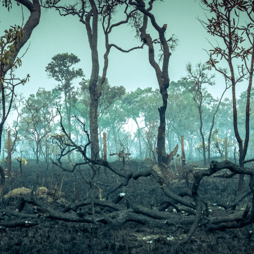 Amazonas, aerial, wildfire, Fair Finance Guide rapport, regnskog, skövlad, nedbränd, bränd, ...