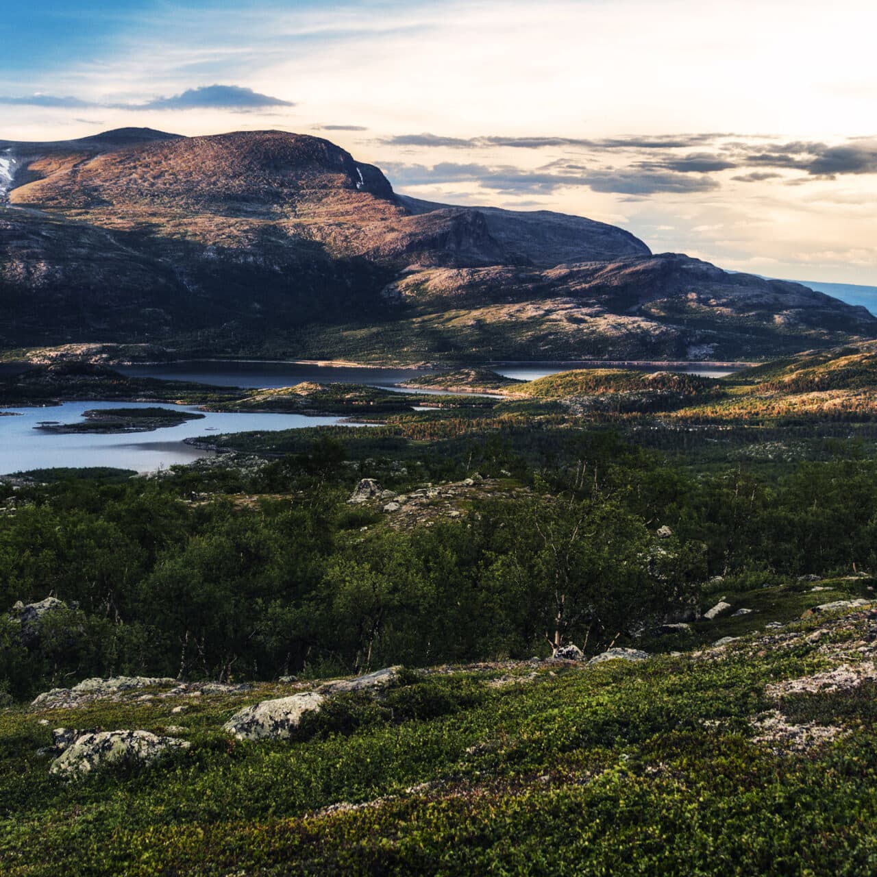 fjäll,berg,sjö,fjällsjö,himmel,skymning,träd,gräs