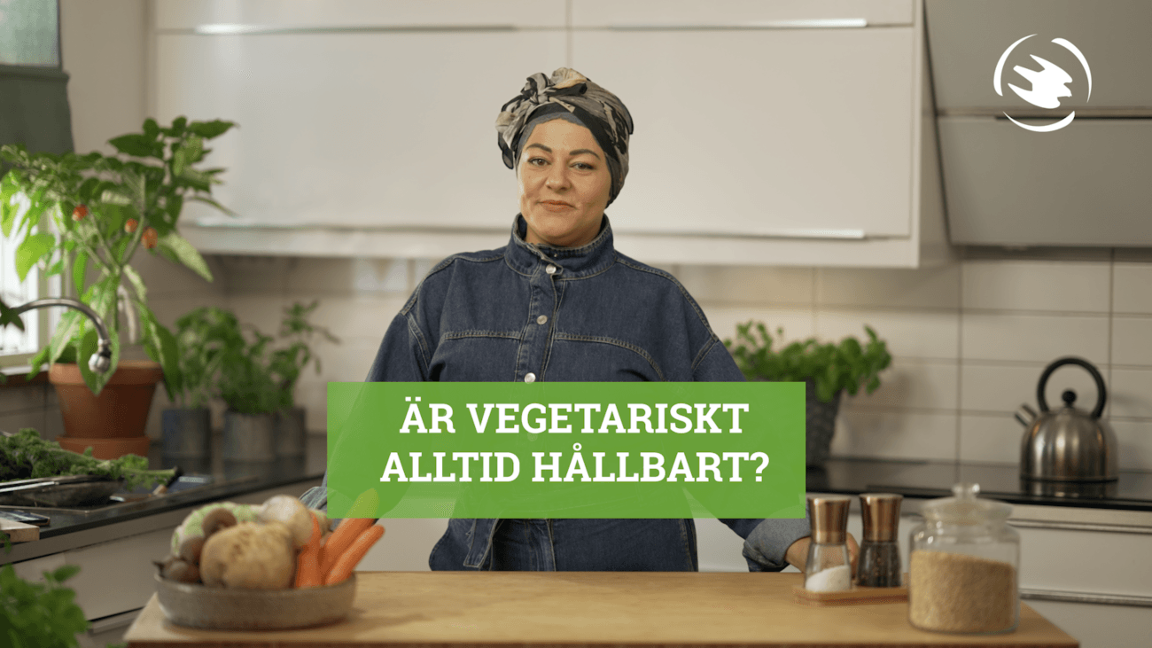 Hållbart, växtbaserat, planet, hälsa, klimat, ekologiskt, spannmålsprodukter, vegetarisk rätt.