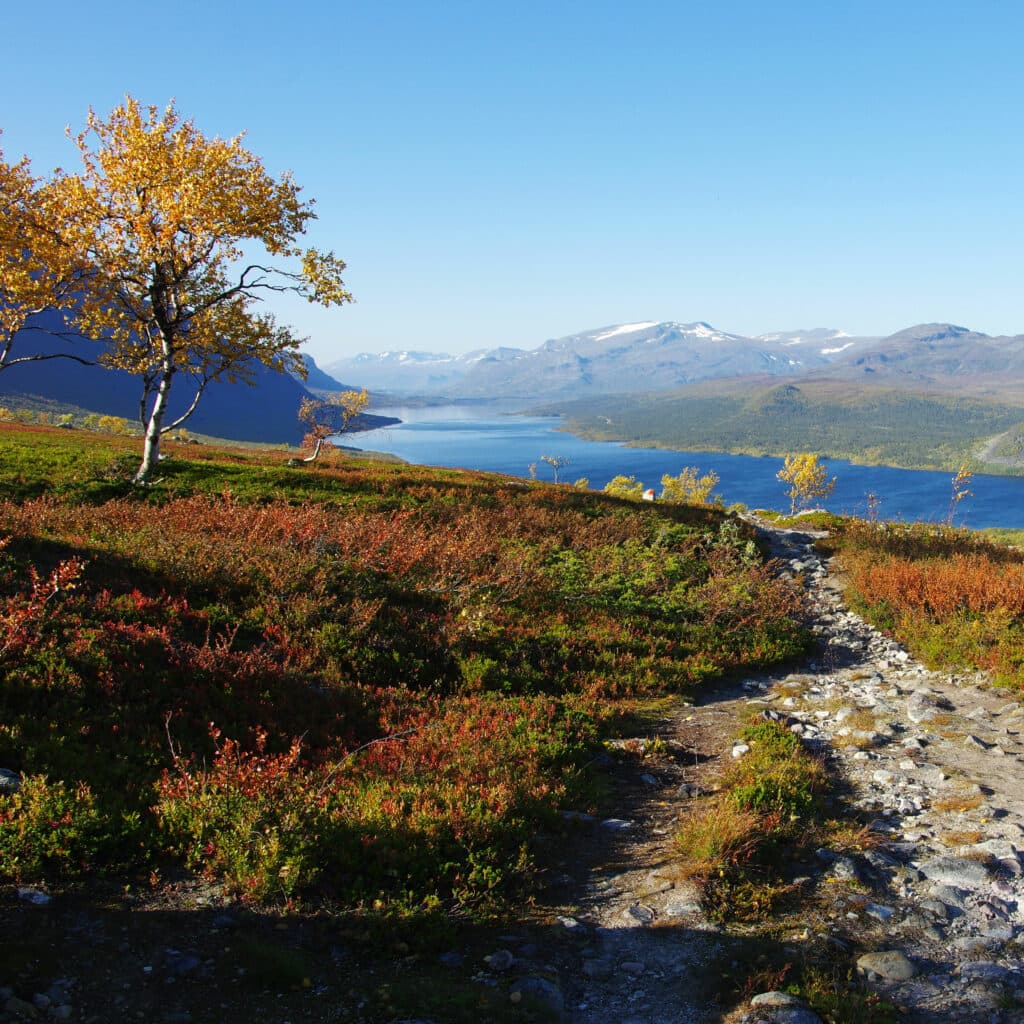 Berg, natur, Norrland, Lappland, vandring, Kungsleden, höst, Sverige, friluftsliv, Sapmi, ...