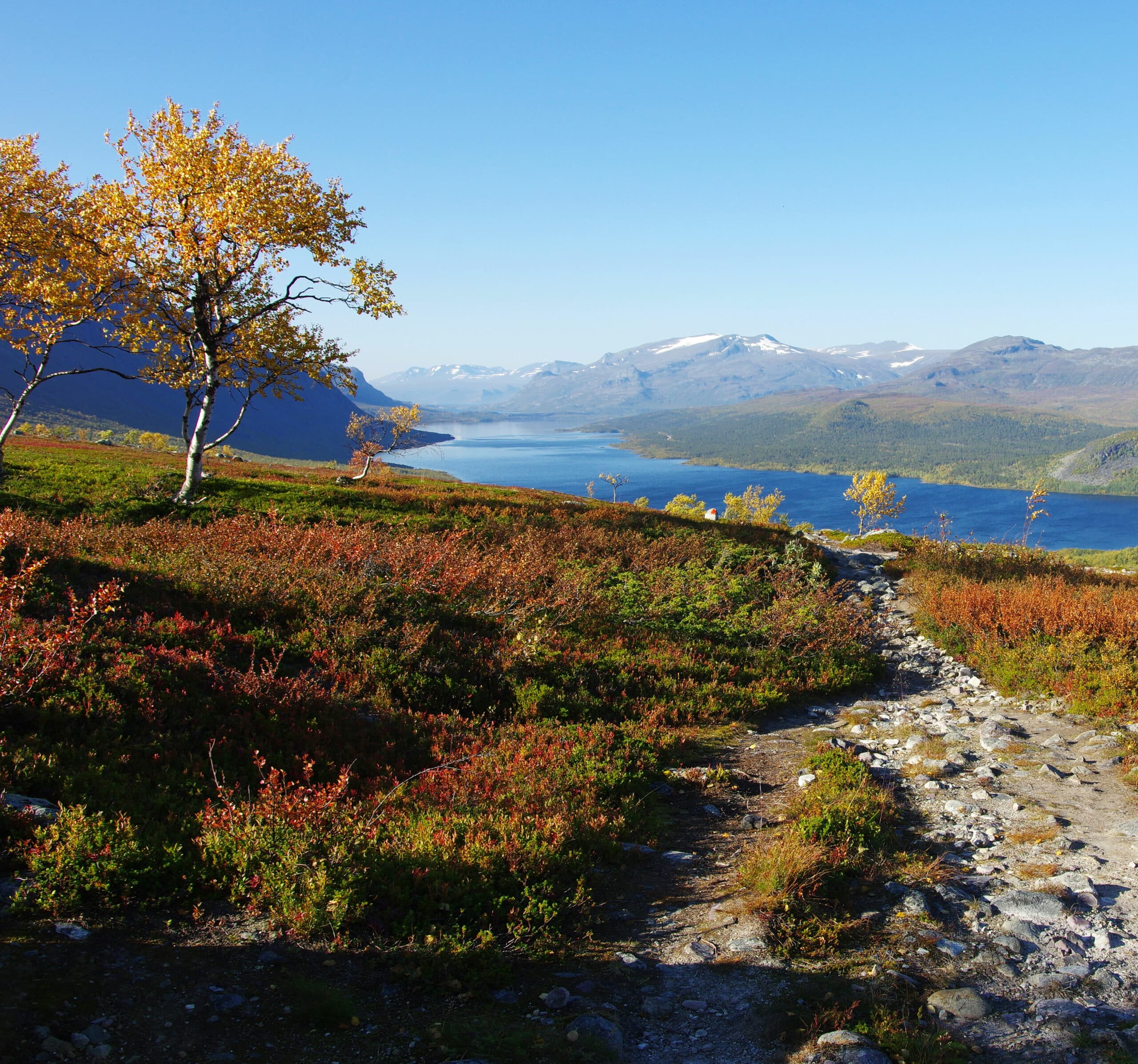 Berg, natur, Norrland, Lappland, vandring, Kungsleden, höst, Sverige, friluftsliv, Sapmi, ...