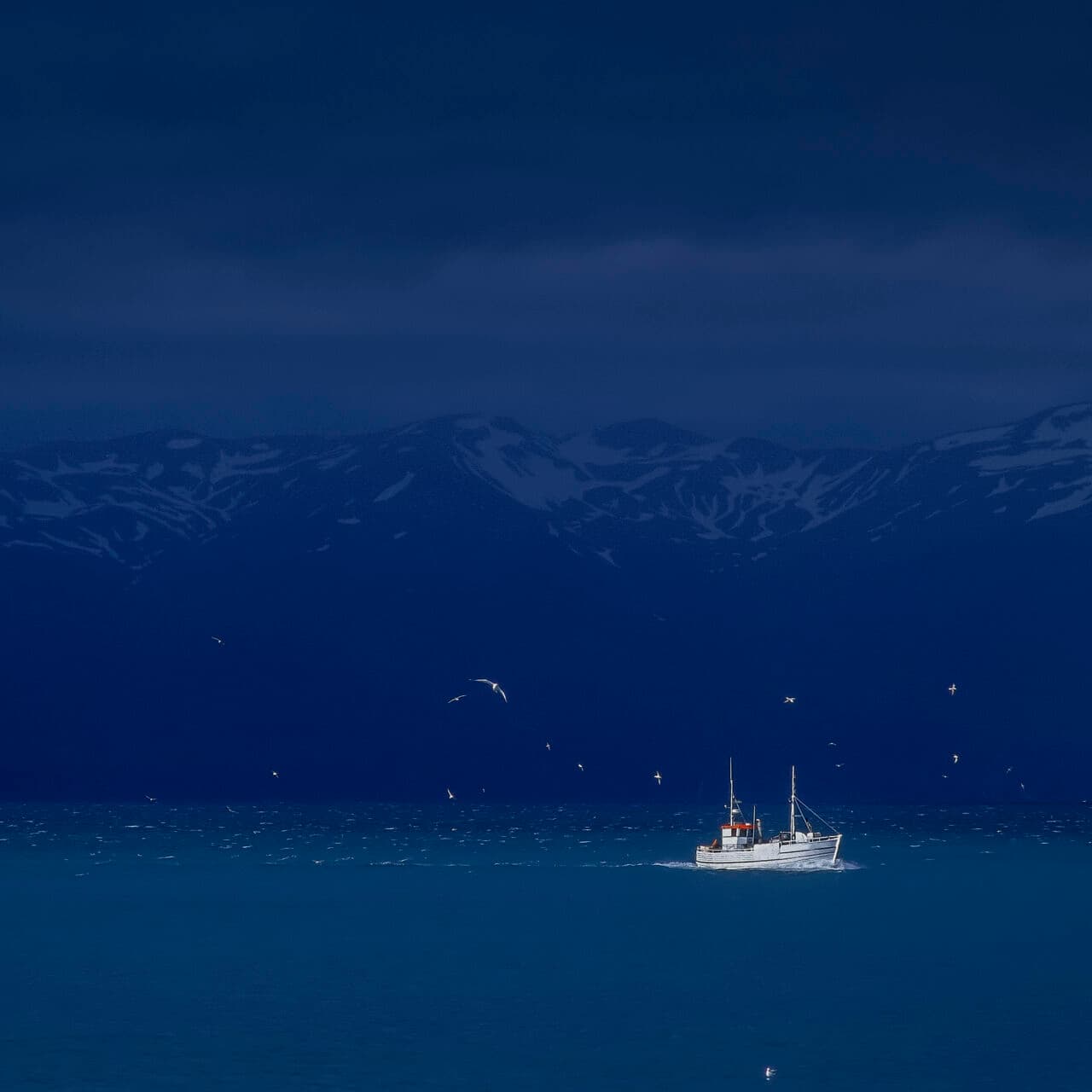 Fiskebåt trålar i havet.