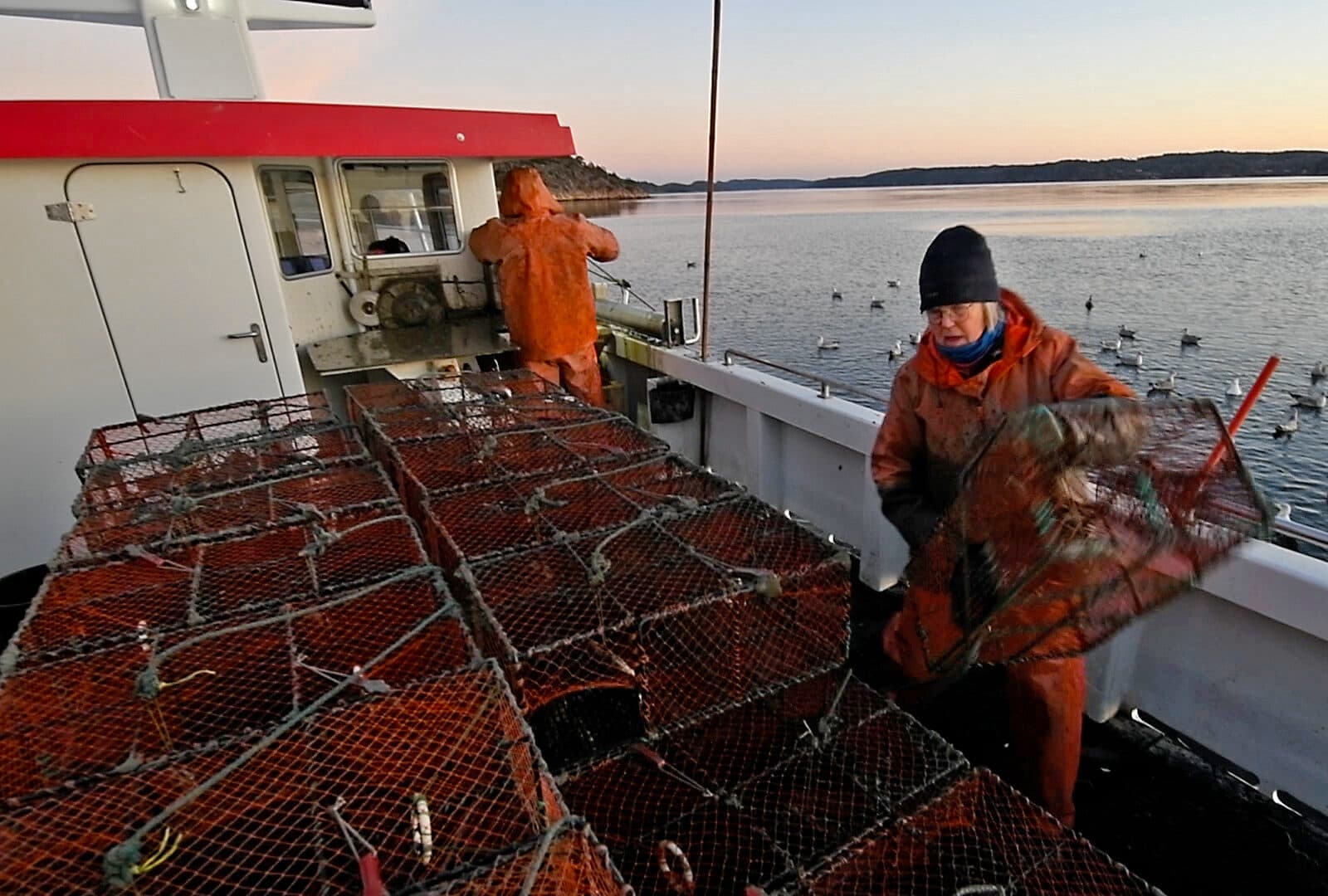 Fiske, Småskaligt, Bobo, Grundsund, Fiskare, Hamn, Båt, Båtar, Fiskebåt