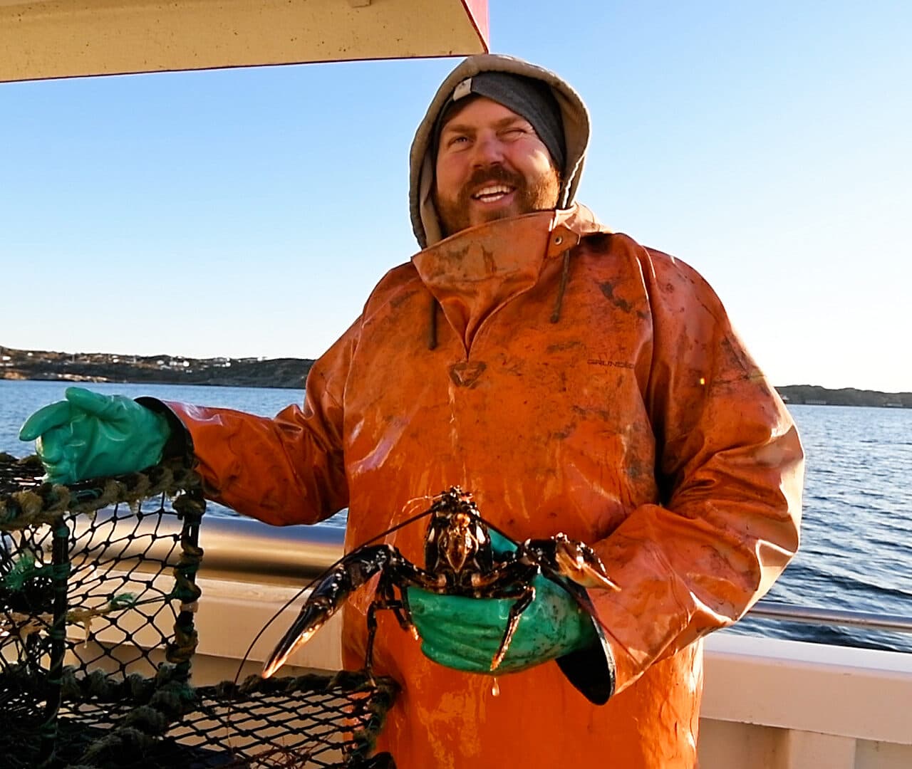 Fiske, Fiskare, Hummerfiske, Hummer, Bobo, Kampanj, Stoppa överfisket, Småskaligt, Hav, Vatten, Båt, Fångst