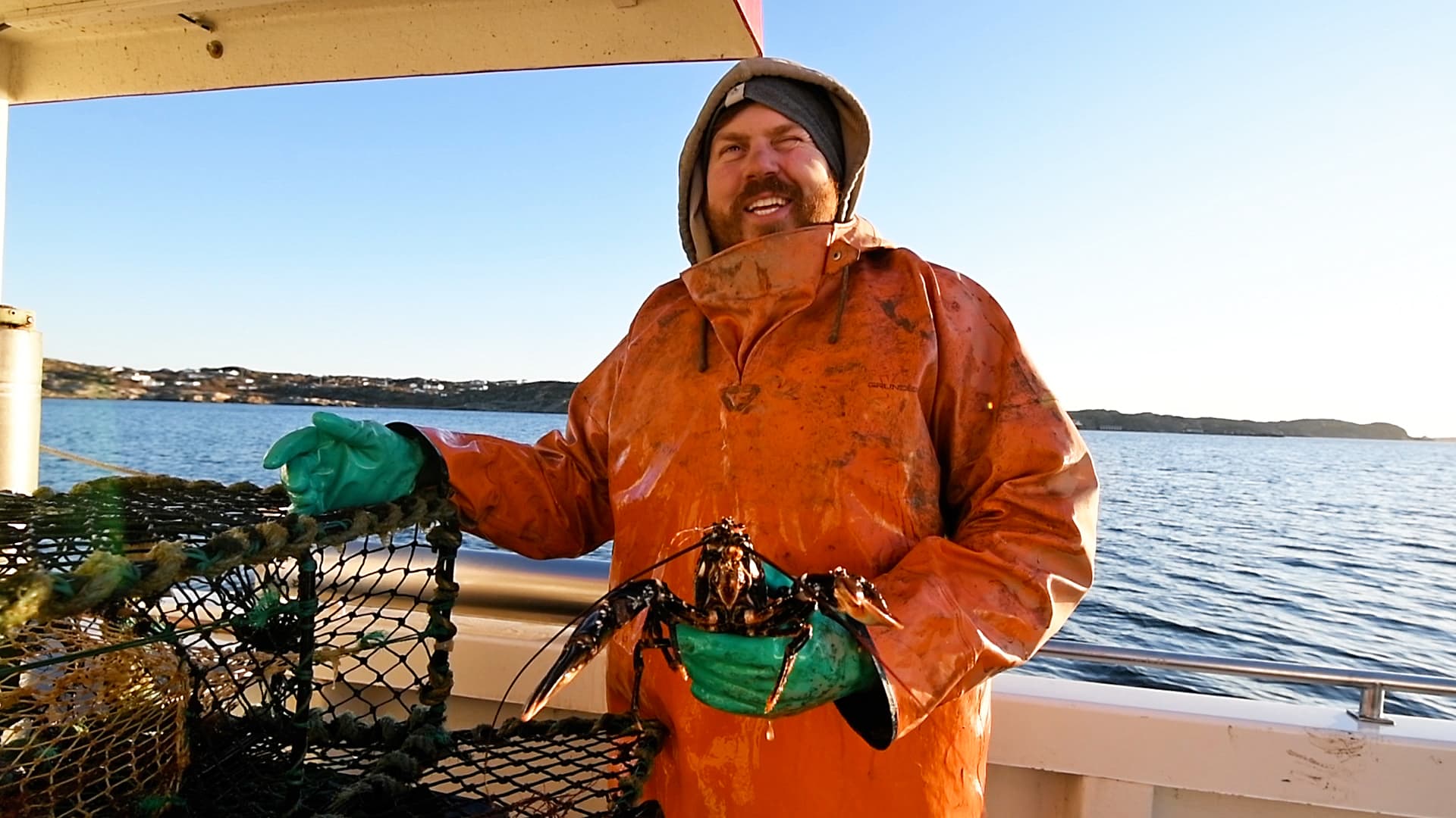 Fiske, Fiskare, Hummerfiske, Hummer, Bobo, Kampanj, Stoppa överfisket, Småskaligt, Hav, Vatten, Båt, Fångst