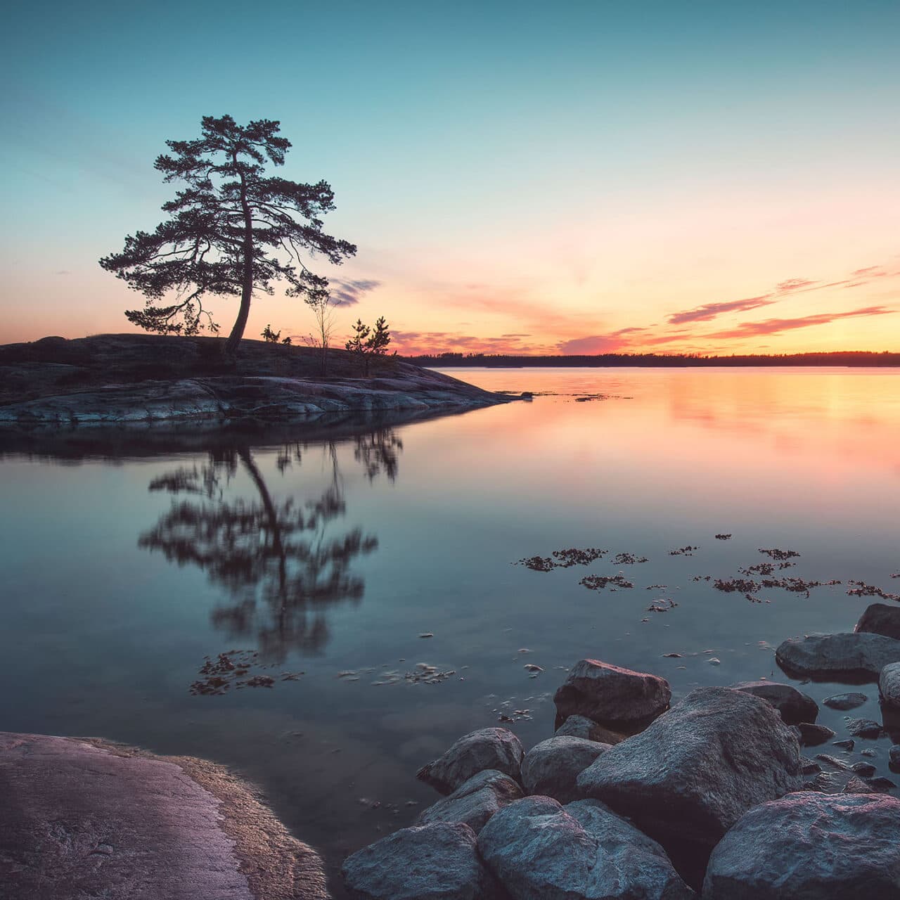 licens,naturreservat,sverige