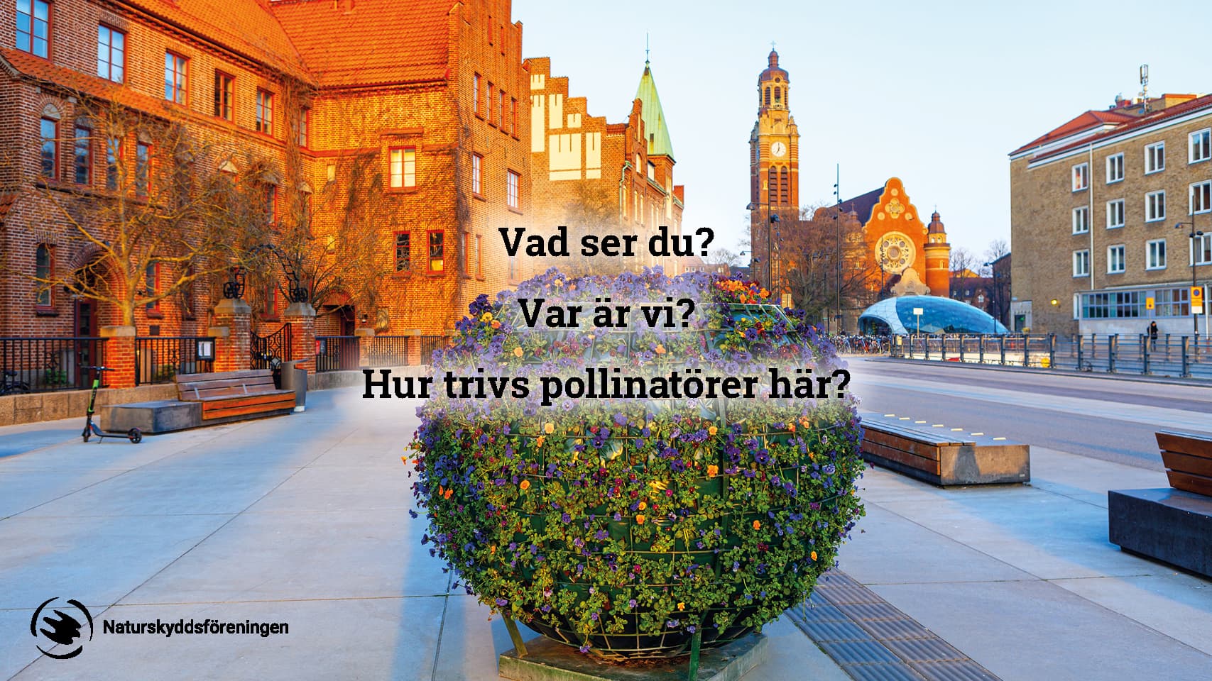 bin, bildspel, skolmaterial, livsmiljö, pollinatör, pollinatörer, pollinering