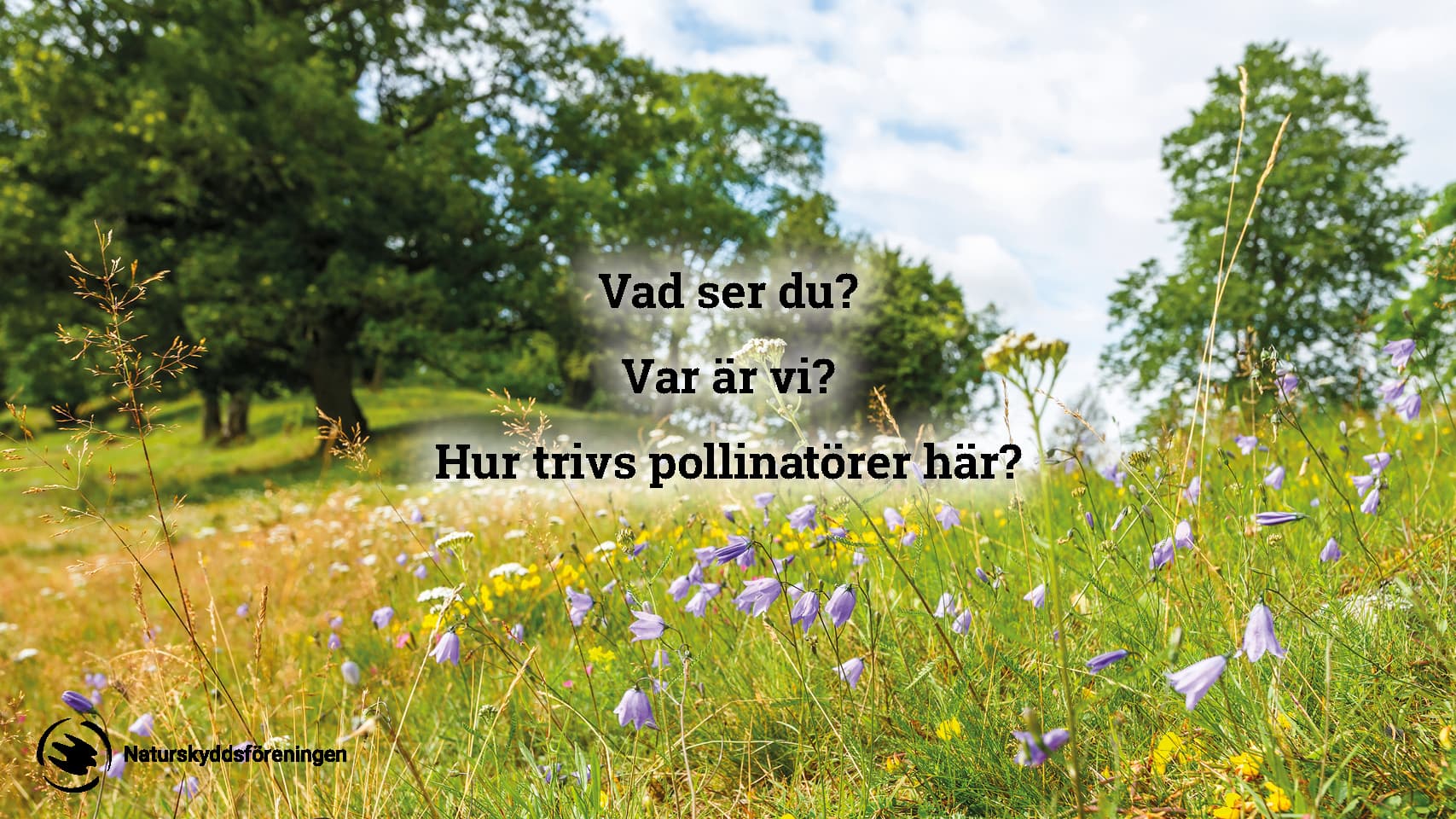 bin, bildspel, skolmaterial, livsmiljö, pollinatör, pollinatörer, pollinering