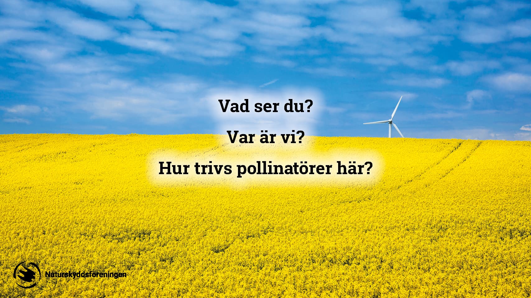 bin, bildspel, skolmaterial, livsmiljö, pollinatör, pollinatörer, pollinering